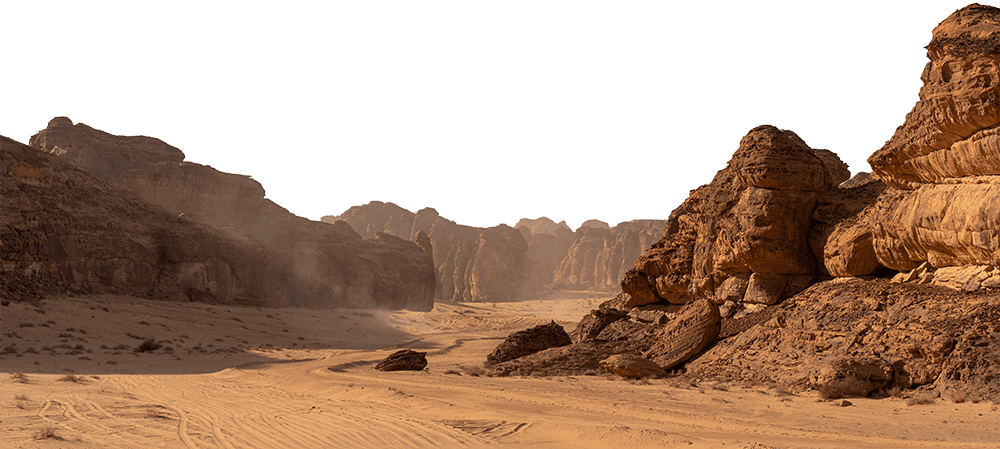 alula